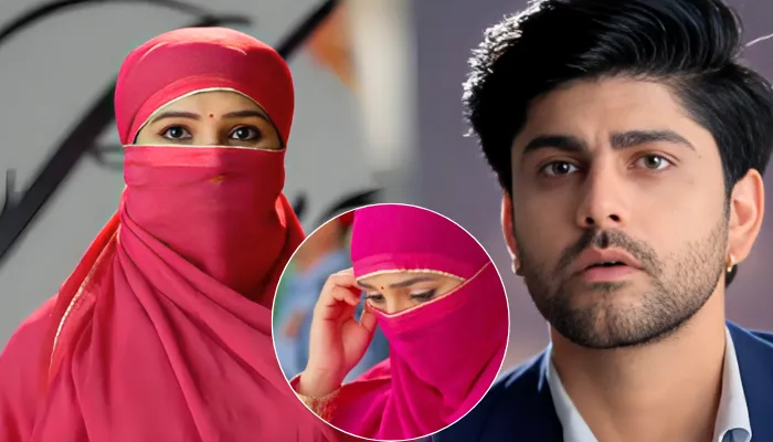Vasudha 12th August 2025 Upcoming Story Written Update