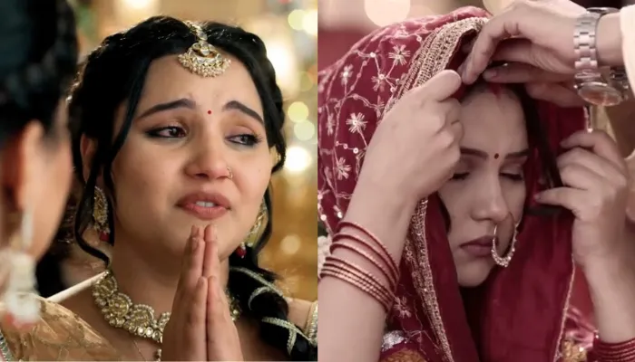 Vasudha Serial 21st November 2025 Written Update