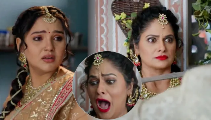 Vasudha Serial 19th November 2025 Written Update