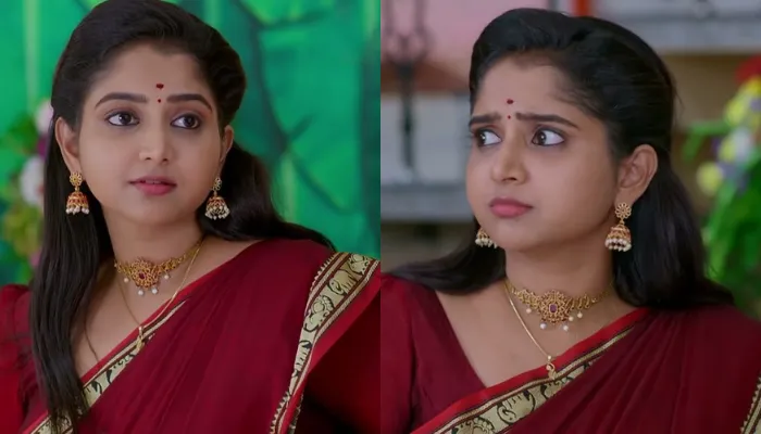 Brahmamudi Serial 15th November 2025 Written Update