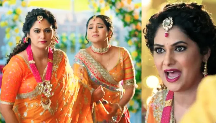 Vasudha Serial 15th November 2025 Written Update