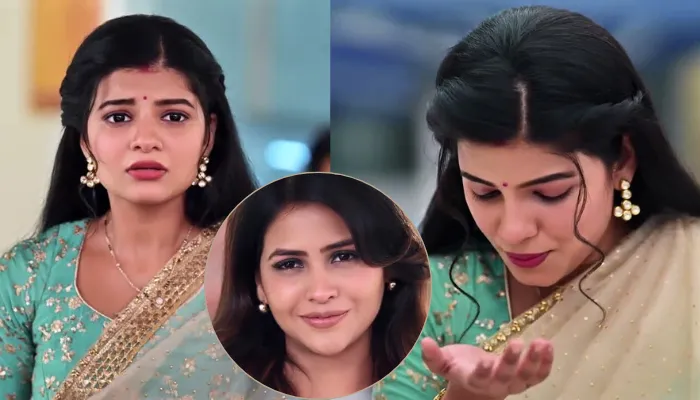 Saru Serial 15th November 2025 Written Update